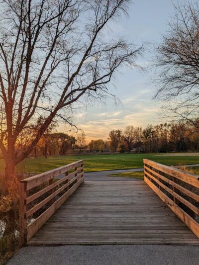Campanelli Park - Schaumburg, IL