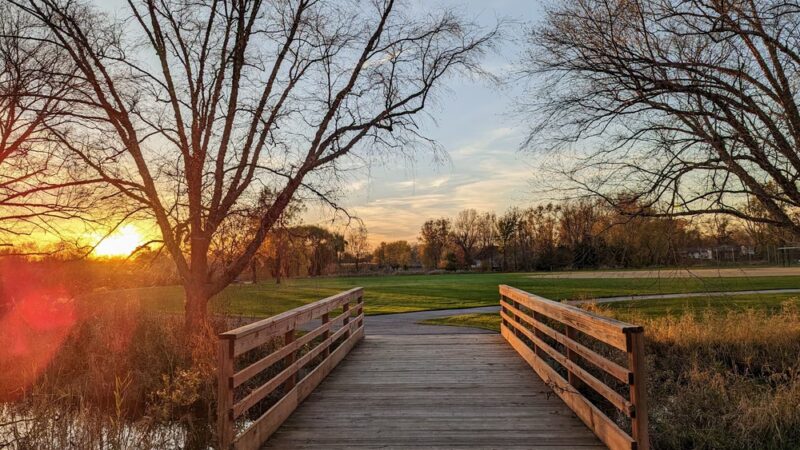 Campanelli Park - Schaumburg, IL