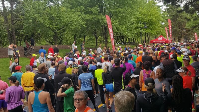 Connelly Park - Schaumburg, IL