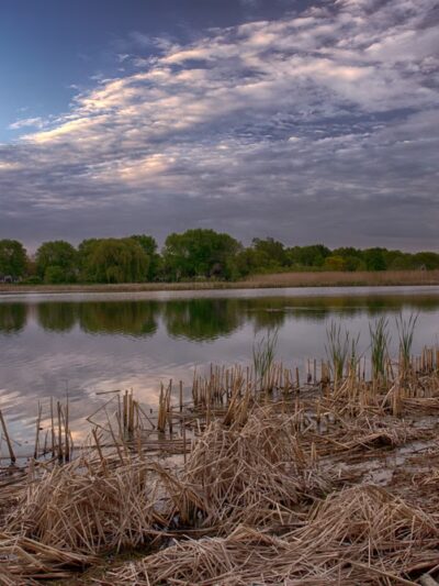 Gray Farm Park & Conservation Area - Schaumburg, IL