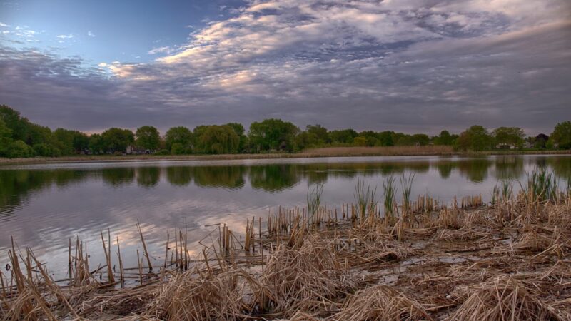 Gray Farm Park & Conservation Area - Schaumburg, IL
