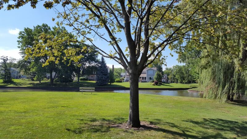 Gray Farm Park & Conservation Area - Schaumburg, IL