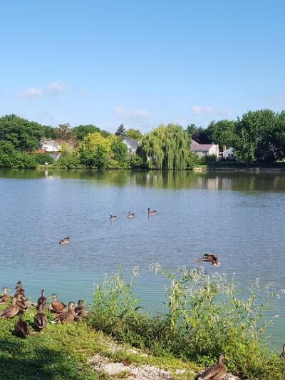 Gray Farm Park & Conservation Area - Schaumburg, IL