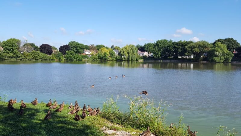 Gray Farm Park & Conservation Area - Schaumburg, IL