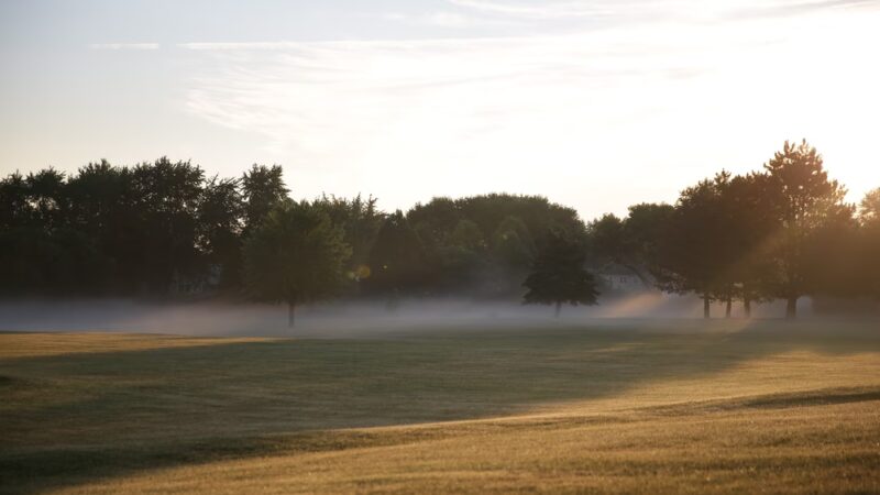 Hoover Park - Schaumburg, IL