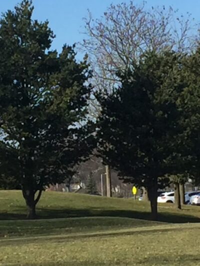 Hoover Park - Schaumburg, IL