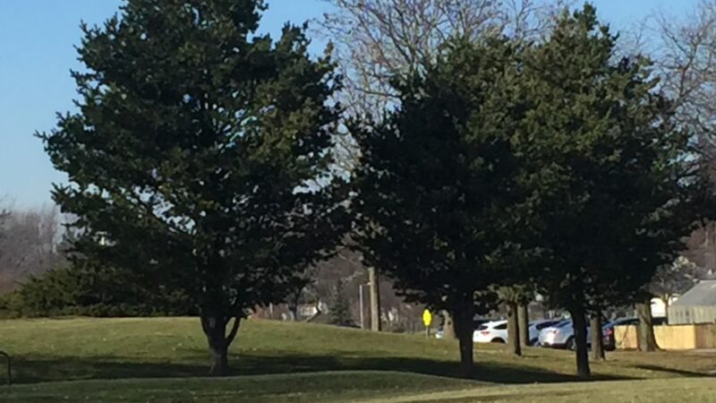 Hoover Park - Schaumburg, IL