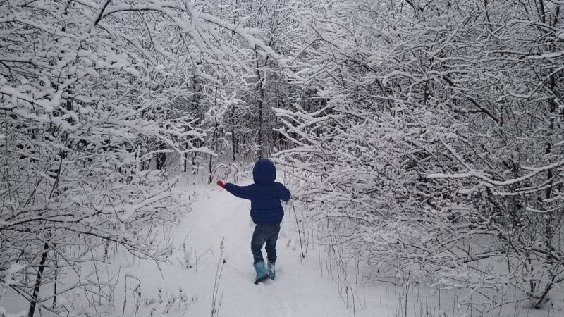 Michael P. Doherty Park - Schaumburg, IL
