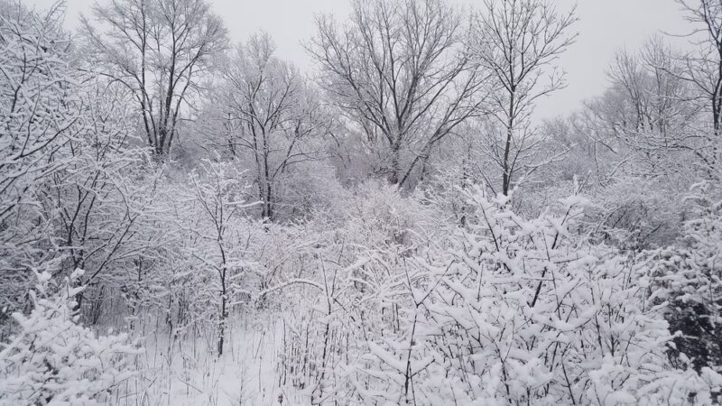 Michael P. Doherty Park - Schaumburg, IL