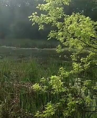 Oak Hollow Park - Schaumburg, IL