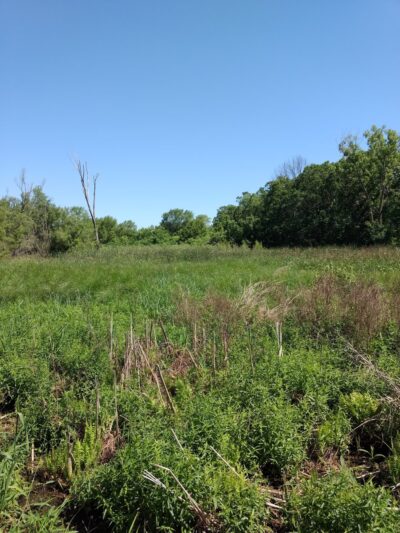 Oak Hollow Park - Schaumburg, IL