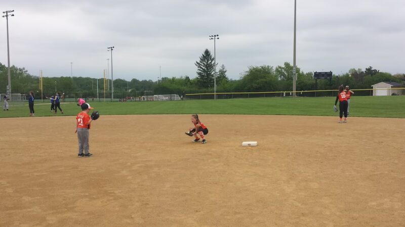 Olympic Park - Schaumburg, IL