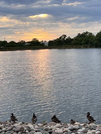 Prairie Park - Schaumburg, IL