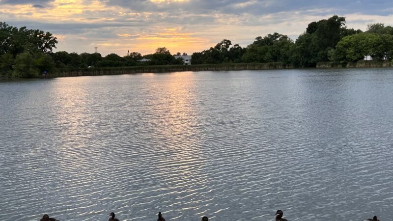 Prairie Park - Schaumburg, IL