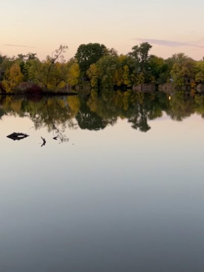 Prairie Park - Schaumburg, IL