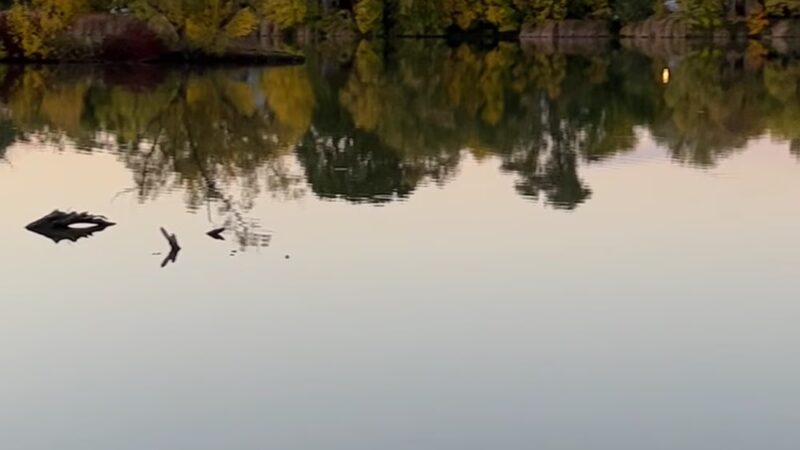 Prairie Park - Schaumburg, IL