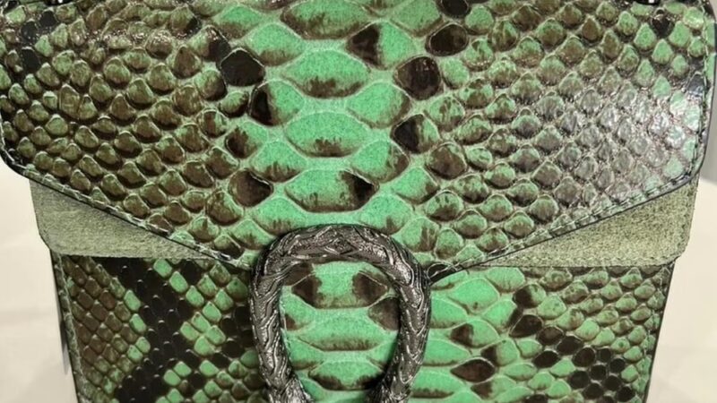 Schaumburg Park District - Schaumburg, IL