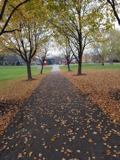 Woodstock Park - Schaumburg, IL