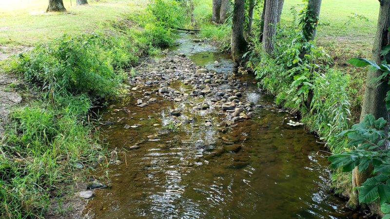 Neffs Valley Park - Schnecksville, PA