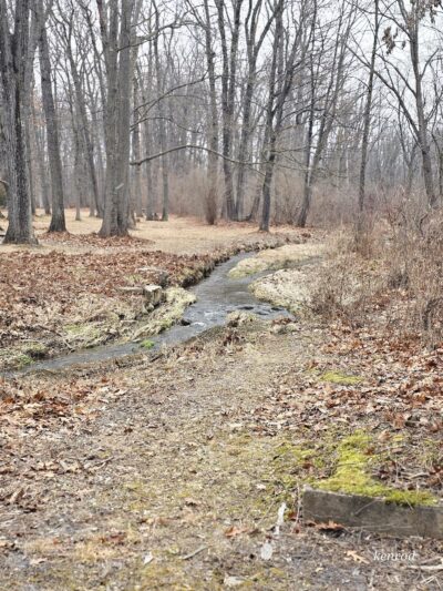 Neffs Valley Park - Schnecksville, PA