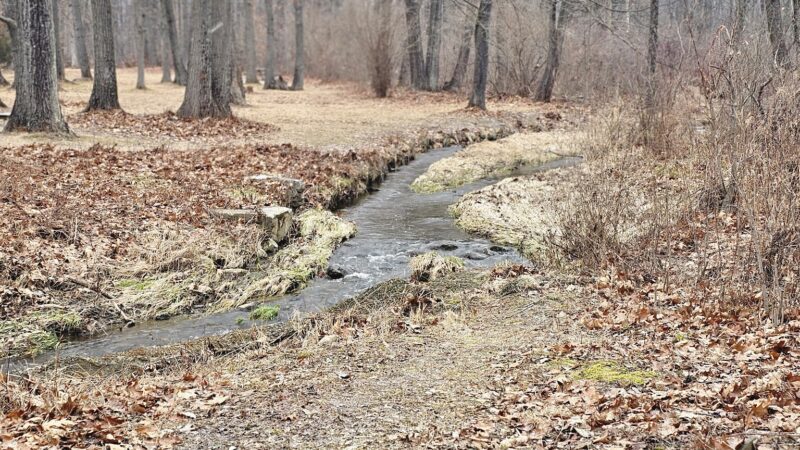 Neffs Valley Park - Schnecksville, PA