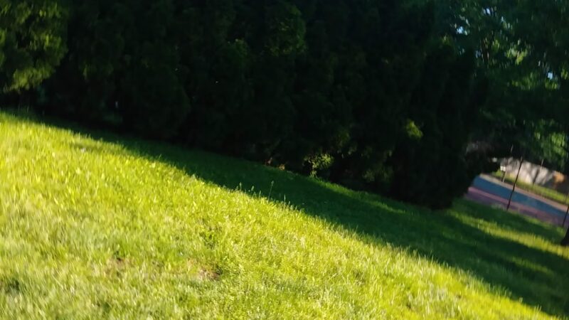 Green Forest Park - Scotch Plains, NJ