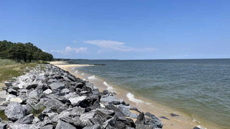 Point Lookout State Park - Scotland, MD