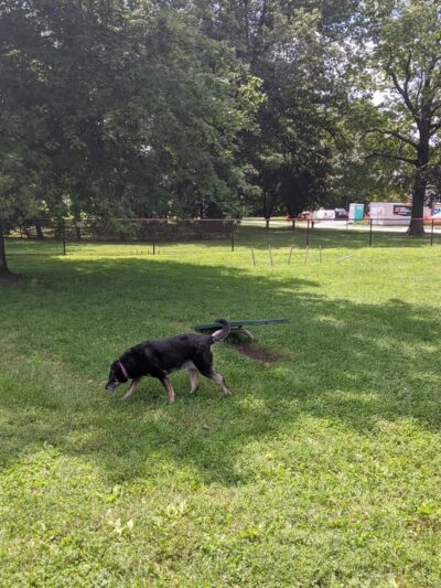 Dog Park - Scott AFB, IL
