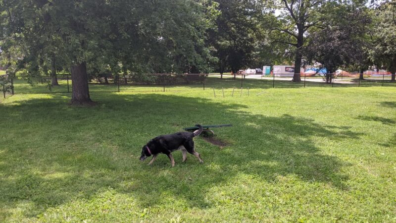 Dog Park - Scott AFB, IL