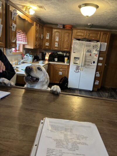 The Pet Plantation - Scott Depot, WV