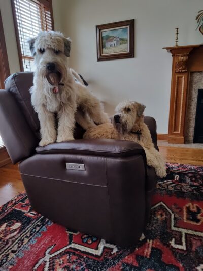 The Pet Plantation - Scott Depot, WV