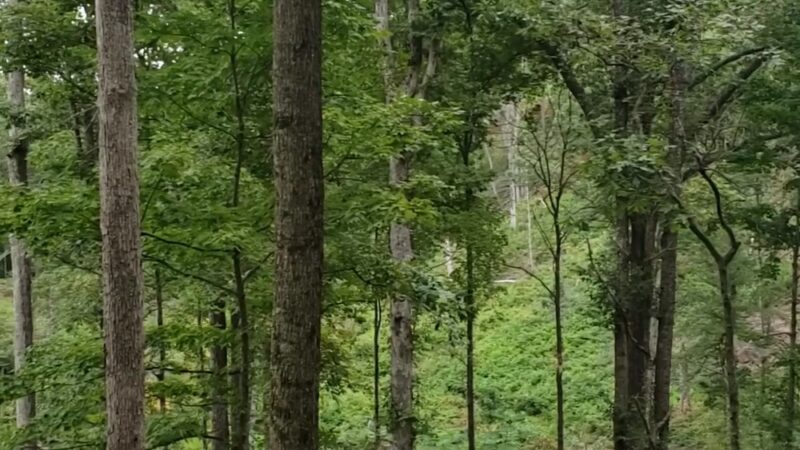 Spurgeon Hollow Trailhead KT - Scottsburg, IN