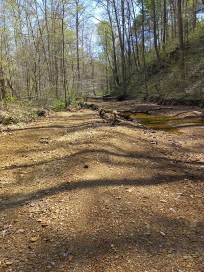 Spurgeon Hollow Trailhead KT - Scottsburg, IN