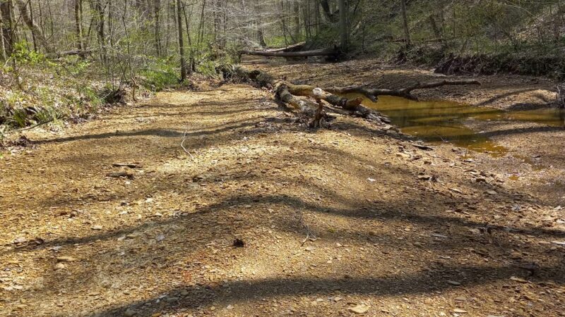 Spurgeon Hollow Trailhead KT - Scottsburg, IN
