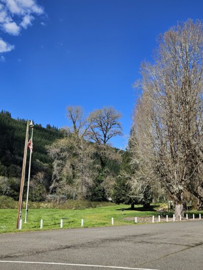 Scottsburg County Park - Scottsburg, OR