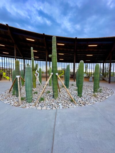 Ashler Hills Park - Scottsdale, AZ