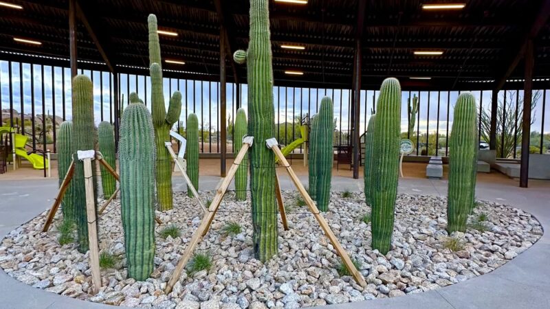 Ashler Hills Park - Scottsdale, AZ