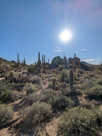Brown’s Ranch Trailhead - Scottsdale, AZ