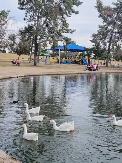Chaparral Park - Scottsdale, AZ