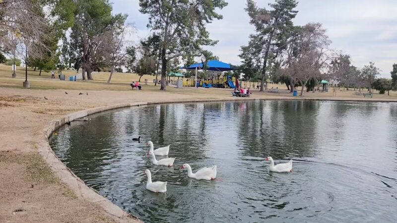 Chaparral Park - Scottsdale, AZ
