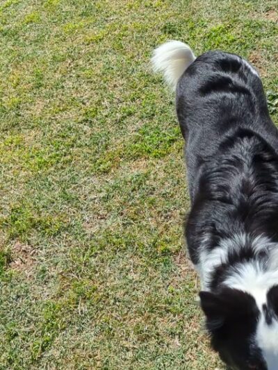 George 'Doc' Cavalliere Park - Scottsdale, AZ