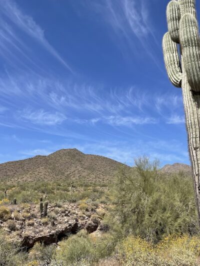 Lost Dog Wash Trailhead - Scottsdale, AZ