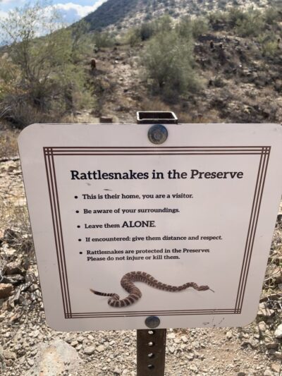 Lost Dog Wash Trailhead - Scottsdale, AZ