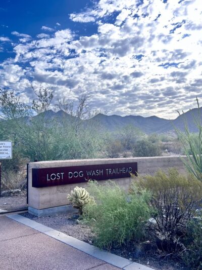 Lost Dog Wash Trailhead - Scottsdale, AZ