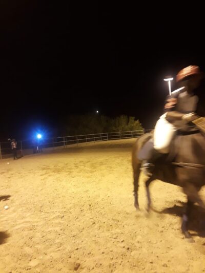 Mescal Park - Scottsdale, AZ