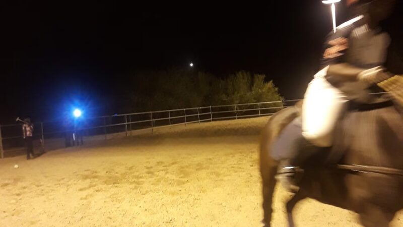 Mescal Park - Scottsdale, AZ