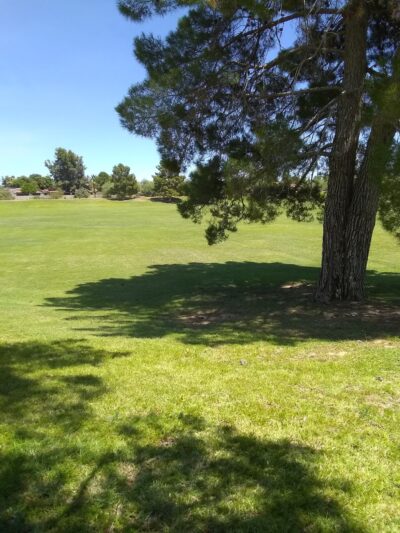 Mescal Park - Scottsdale, AZ