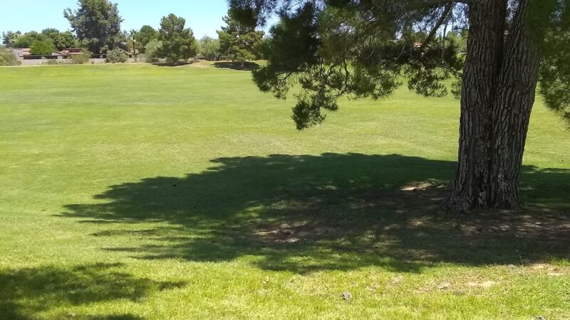 Mescal Park - Scottsdale, AZ