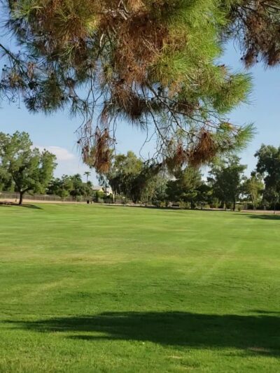 Rotary Park - Scottsdale, AZ