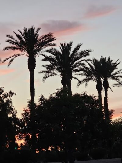 Rotary Park - Scottsdale, AZ